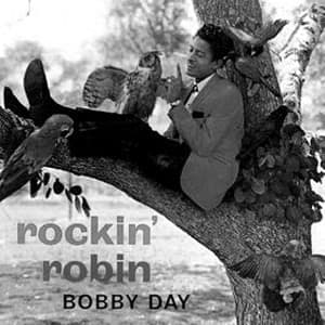바비 데이 - 락킨 로빈(Rockin' Robin) 가사 발음 해석