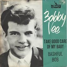 바비 비 - 테이크 굳 케어 오브 마이 베이비(Take Good Care of My Baby) 가사 발음 해석